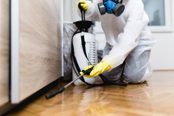 Best Best Pest Control Companies  in Puxico, MO