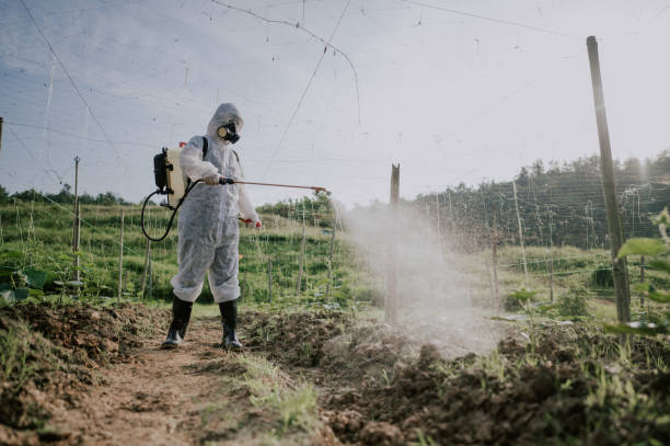 Best Local Pest Control Services  in Puxico, MO