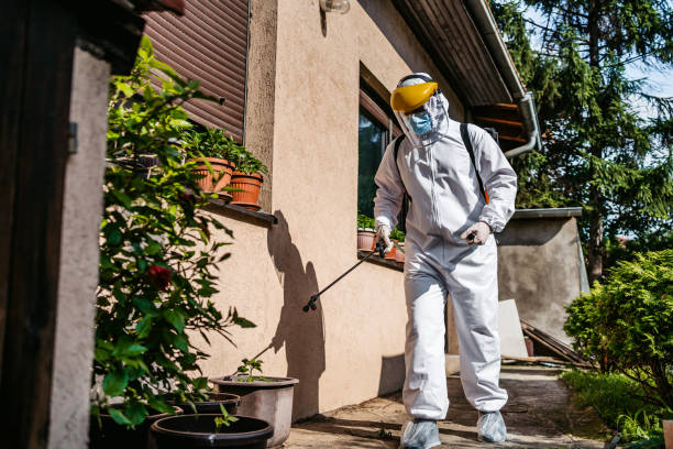 Best Mosquito Control Services  in Puxico, MO